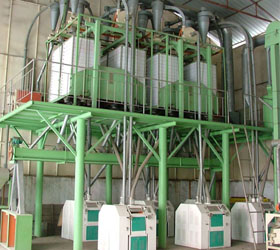 Complete Set of Flour Mill